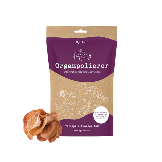 Organ Polisher 200g - Spring Special (Medicinal Mushroom and Herb Mix)