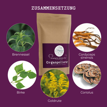 Organ Polisher 200g - Spring Special (Medicinal Mushroom and Herb Mix)