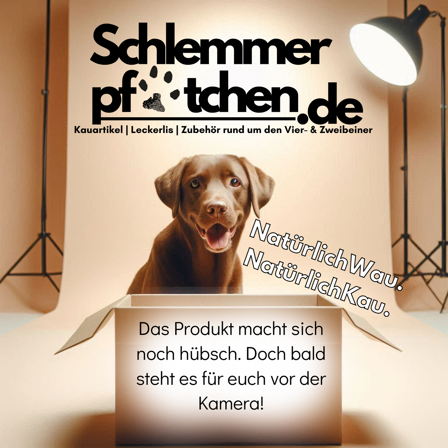 Ziegen-Ohren - hypoallergen