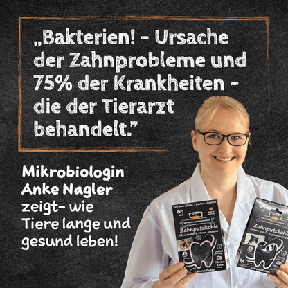Zahnputzkohle für die Katze - Zahnpflege & Nierenentlastung von QChefs