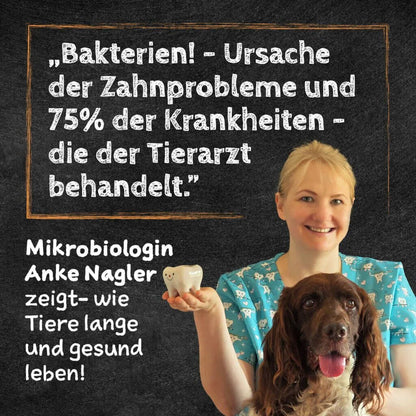 Dreierlei Käsesnacks – Zahnpflege-Mix aus Snackies, Cheesies & Puffies von QChefs