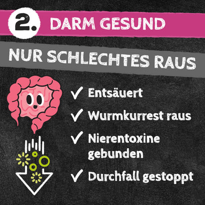 Zahnputzkohle für die Katze - Zahnpflege & Nierenentlastung von QChefs