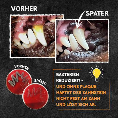 Sizzles Zahnpflege Hund - QChefs Dental