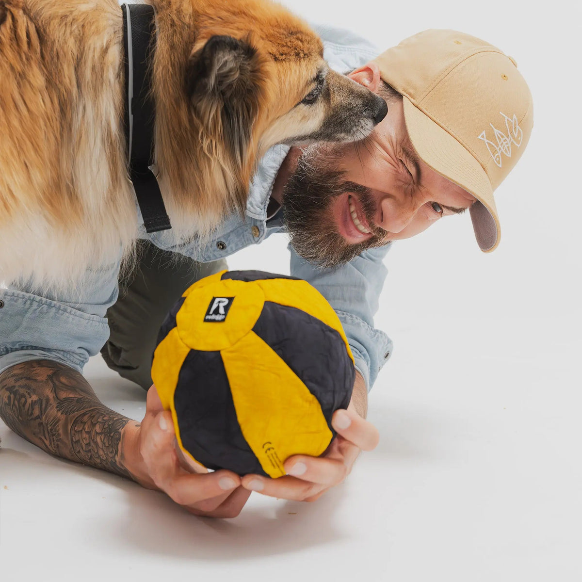 Ball Hundespielzeug beim gemeinsamen Spiel