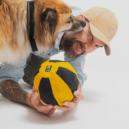 Ball Hundespielzeug beim gemeinsamen Spiel