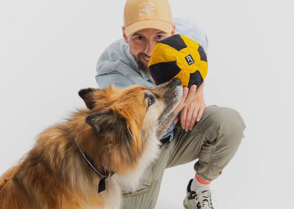 Hund mit robustem Ball Hundespielzeug