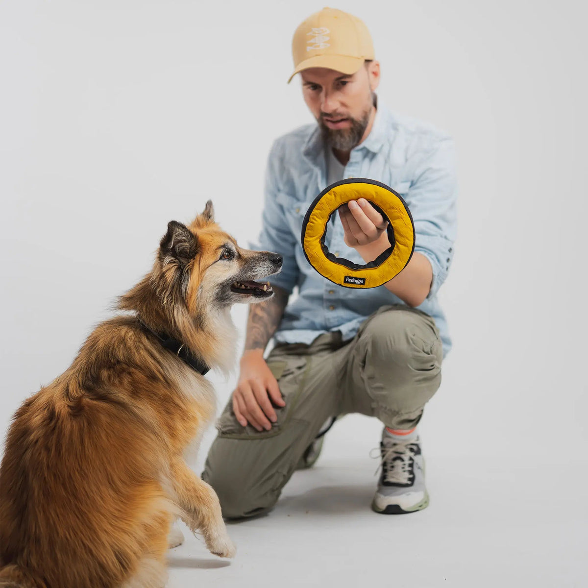 Hund spielt mit dem Donut Hundespielzeug