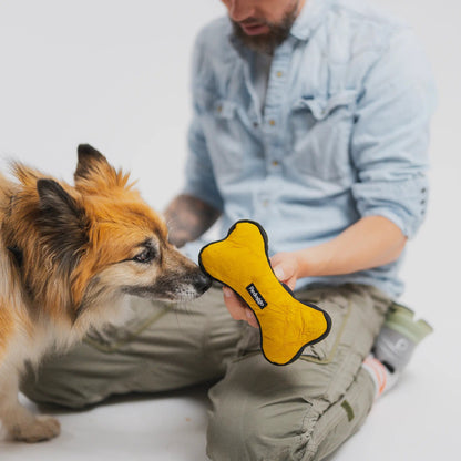 Hund beim Spielen mit dem Knochen Hundespielzeug