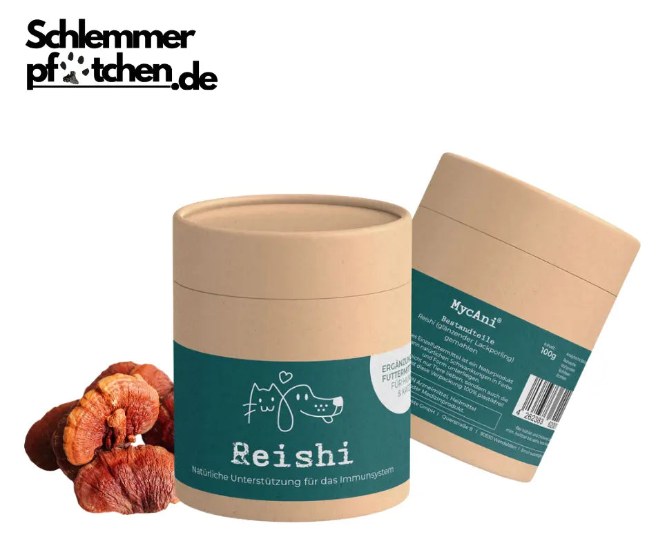 Reishi-mycani-dose-vorder-und-rueckseite