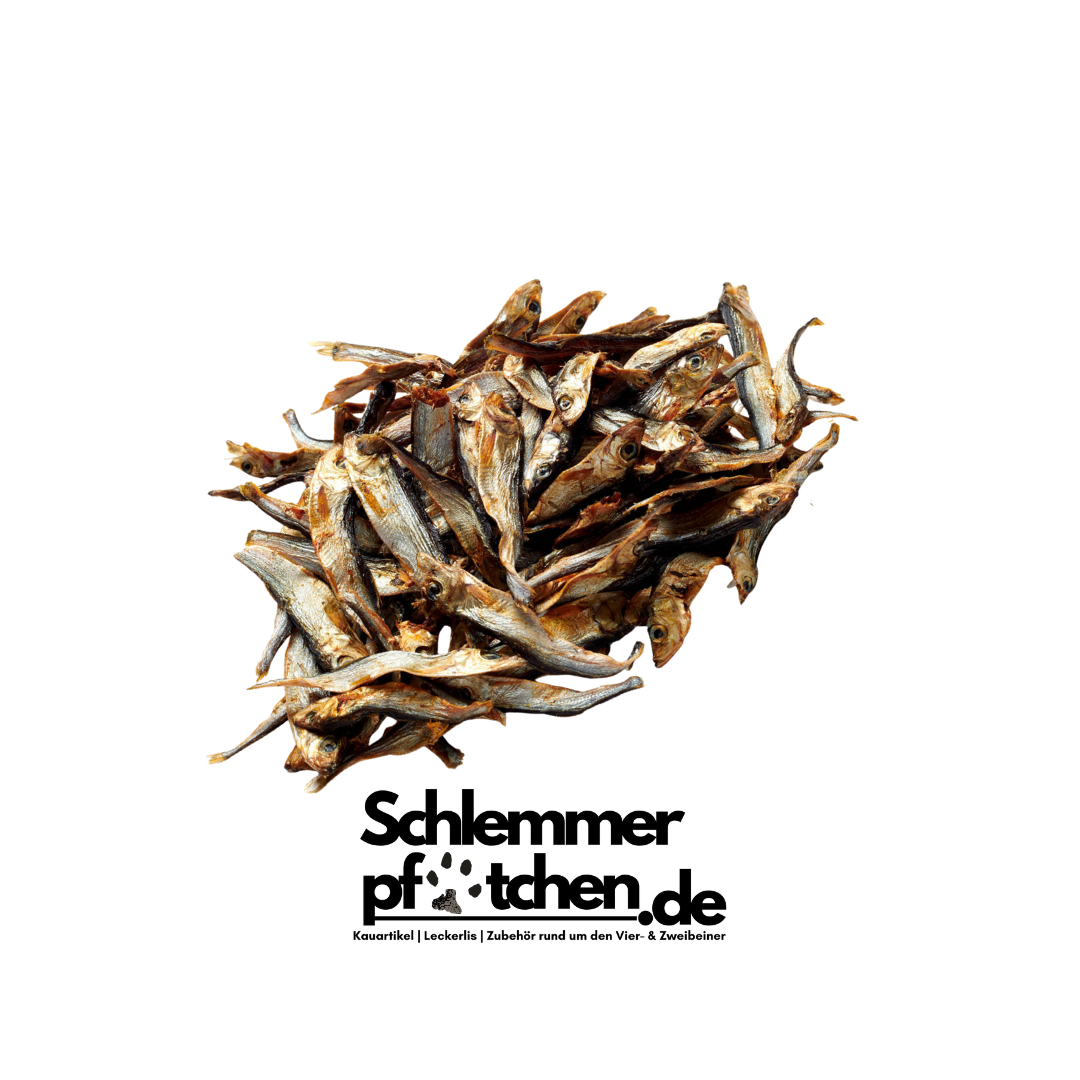 Sprotten - Belohnungshappen für Hund & Katze