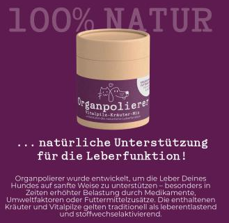 Organ Polisher 200g - Spring Special (Medicinal Mushroom and Herb Mix)