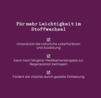 Organpolierer 200g (Vitalpilz-Kräuter-Mix)