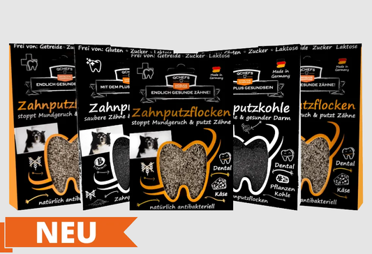 QCHEFS Dental Starterbox Hund: 3× Zahnputzflocken + 2× Zahnputzkohle (10% Vorteil)