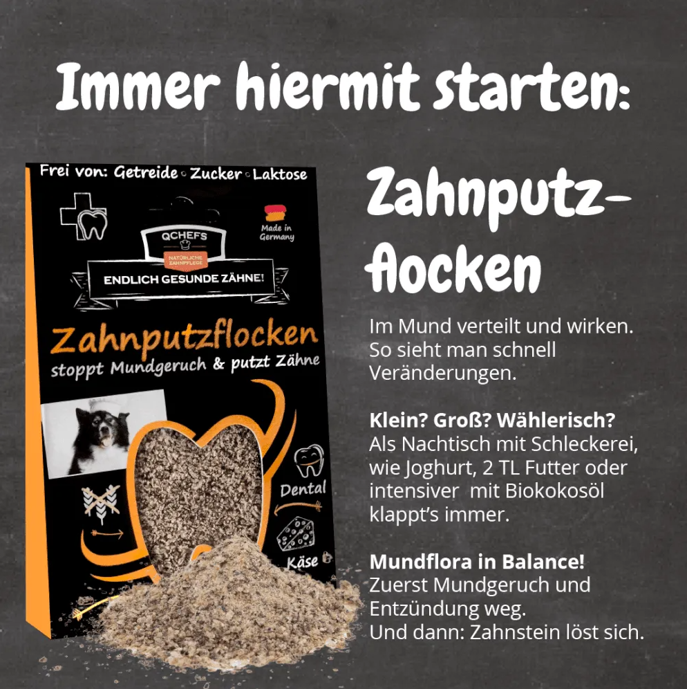 QCHEFS Dental Starterbox Hund: 3× Zahnputzflocken + 2× Zahnputzkohle (10% Vorteil)