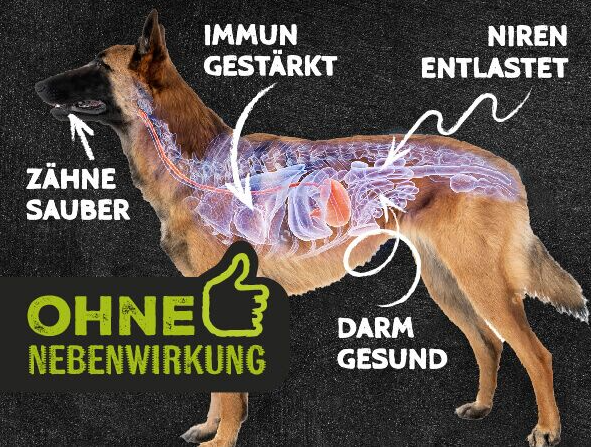 QCHEFS Dental Starterbox Hund: 3× Zahnputzflocken + 2× Zahnputzkohle (10% Vorteil)
