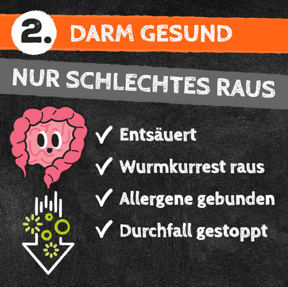 QCHEFS Dental Starterbox Hund: 3× Zahnputzflocken + 2× Zahnputzkohle (10% Vorteil)