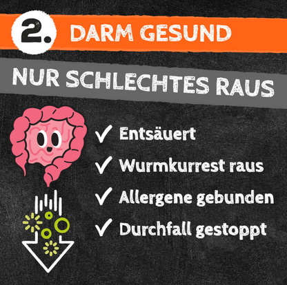 QCHEFS Dental Starterbox Hund: 3× Zahnputzflocken + 2× Zahnputzkohle (10% Vorteil)