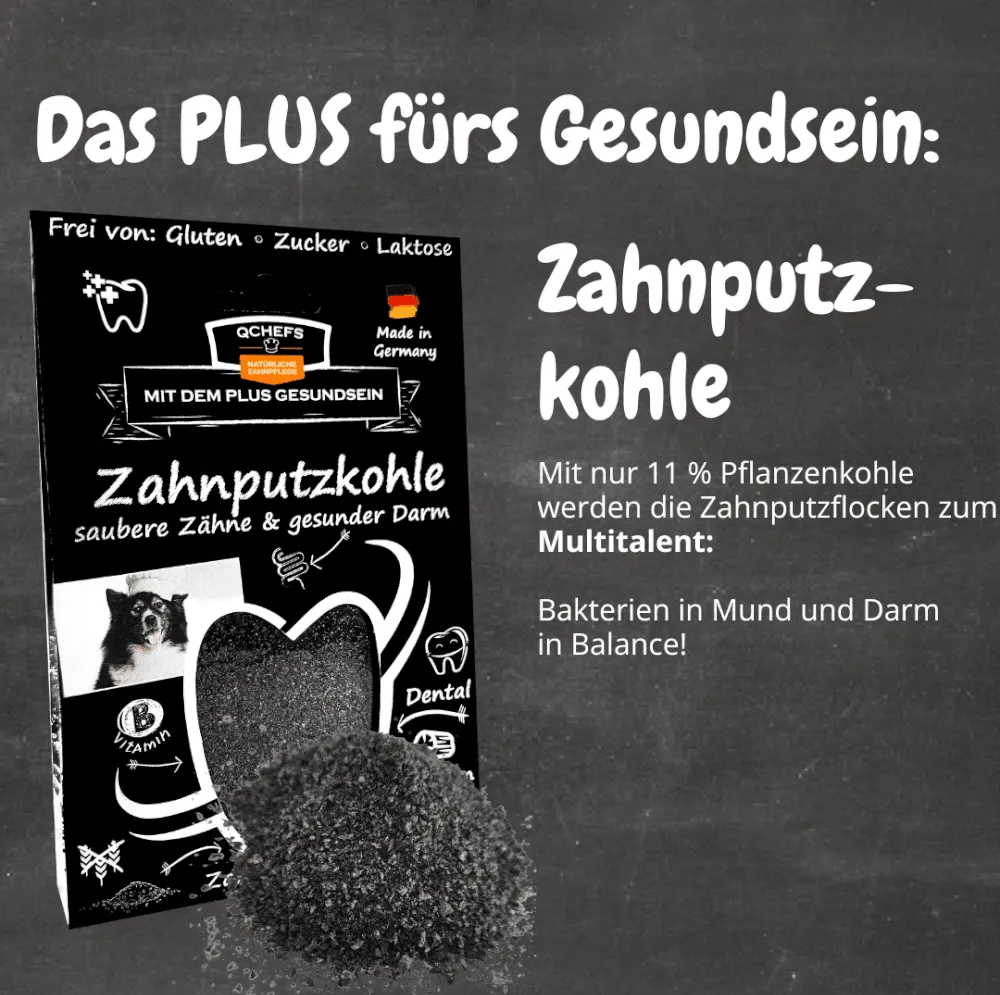 QCHEFS Dental Starterbox Hund: 3× Zahnputzflocken + 2× Zahnputzkohle (10% Vorteil)