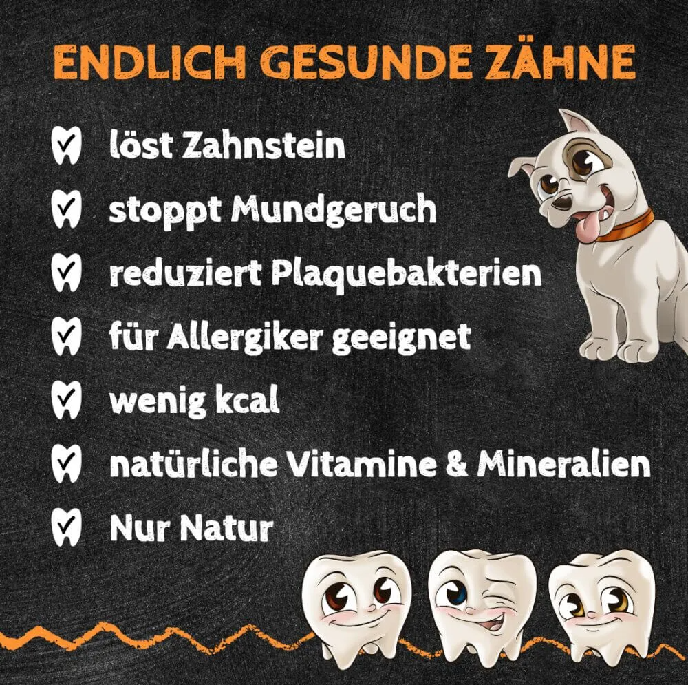 QCHEFS Dental Starterbox Hund: 3× Zahnputzflocken + 2× Zahnputzkohle (10% Vorteil)