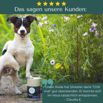 Chill Mal - natürliche Unterstützung für das Nervensystem!