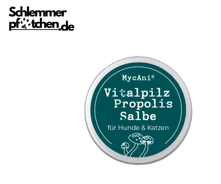 Vitalpilz-Propolis-Salbe-mycani_30-ml-Dose