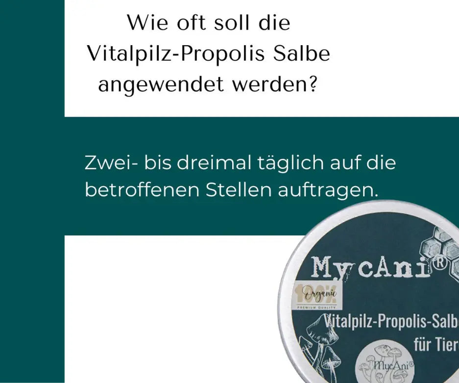 Vitalpilz-Propolis-Salbe-mycani_Anwendung