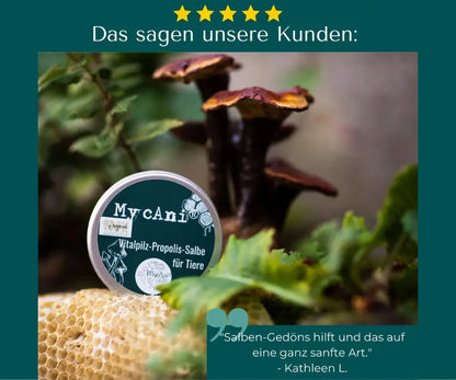 Vitalpilz-Propolis-Salbe-mycani_Kundenfeedback