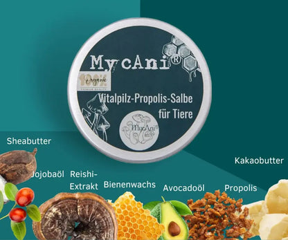 Vitalpilz-Propolis-Salbe-mycani_Zusammensetzung