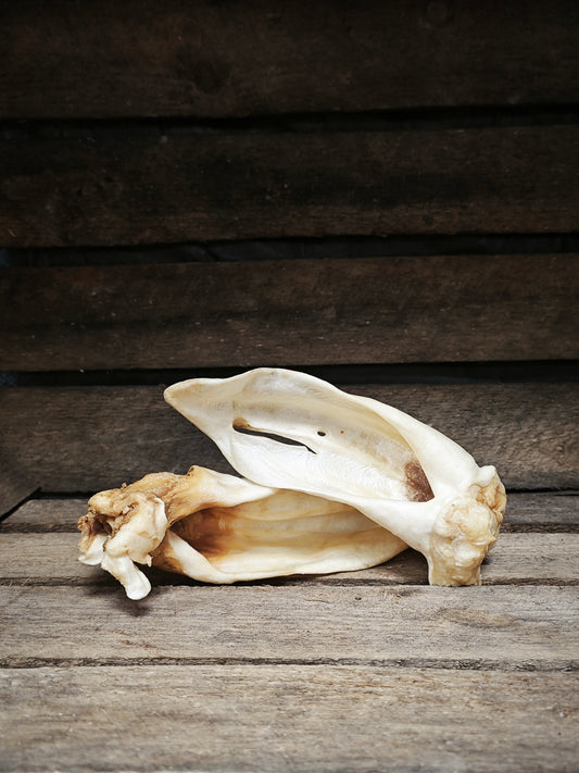 Ziegen-Ohren - hypoallergen