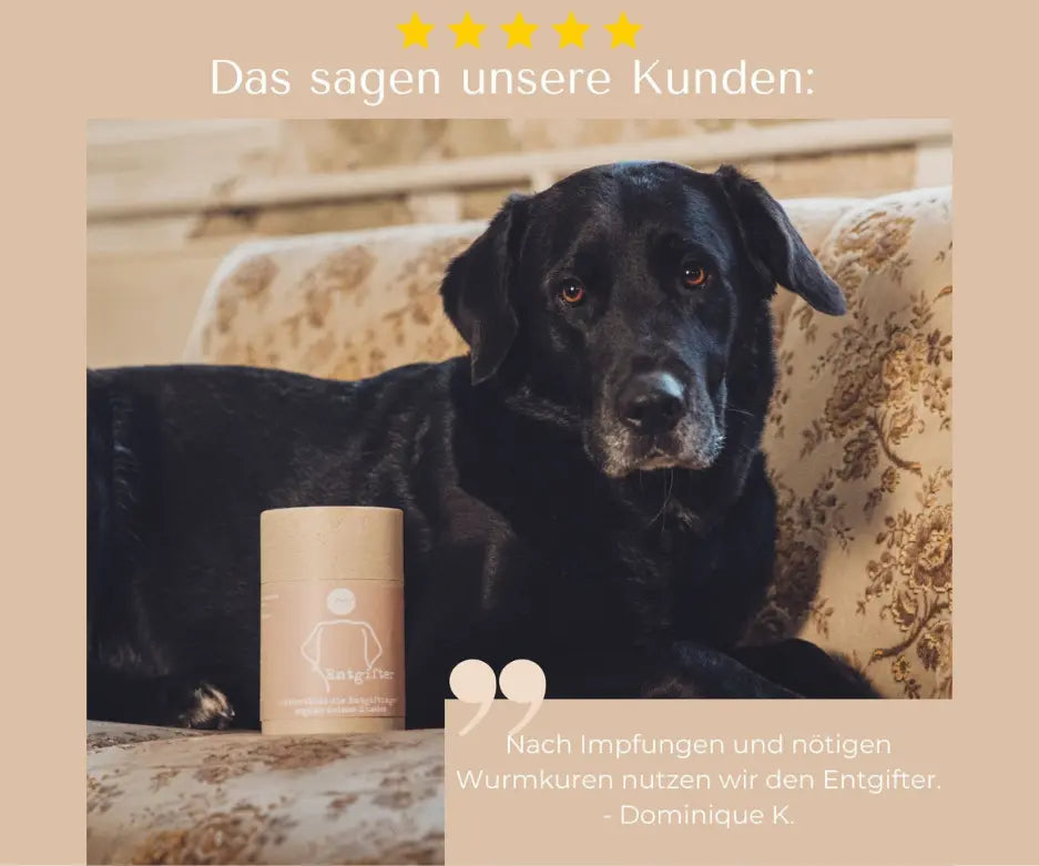 entgifter-mycani_kundenfeedback