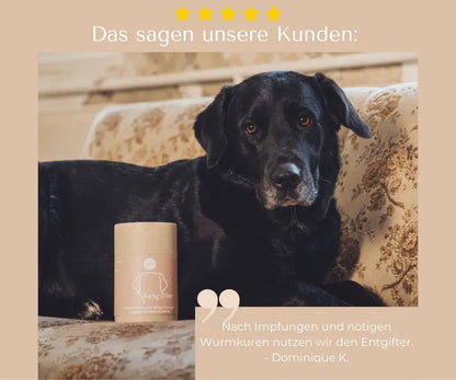 entgifter-mycani_kundenfeedback