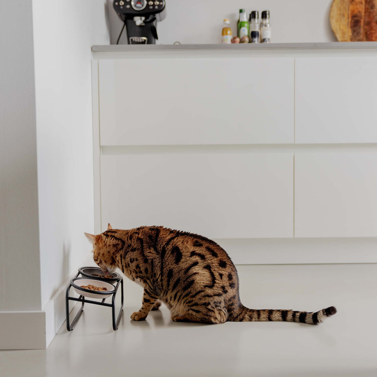 Doppelfutternapfständer für kleine Hunde oder Katzen – Produktansicht 2, abgebildete Näpfe separat erhältlich