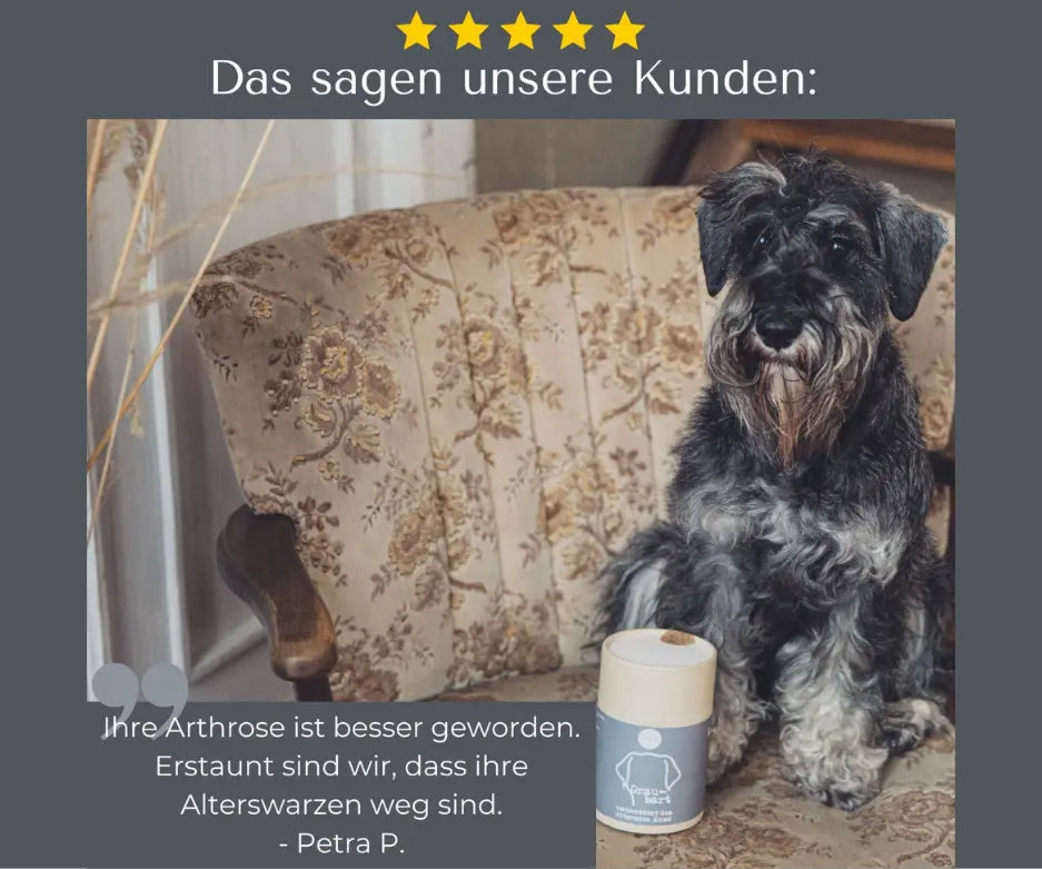 graubart-mycani_kundenfeedback