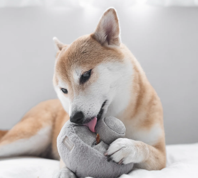 GUU Sniffing Mushroom (Various Sizes and Colors)