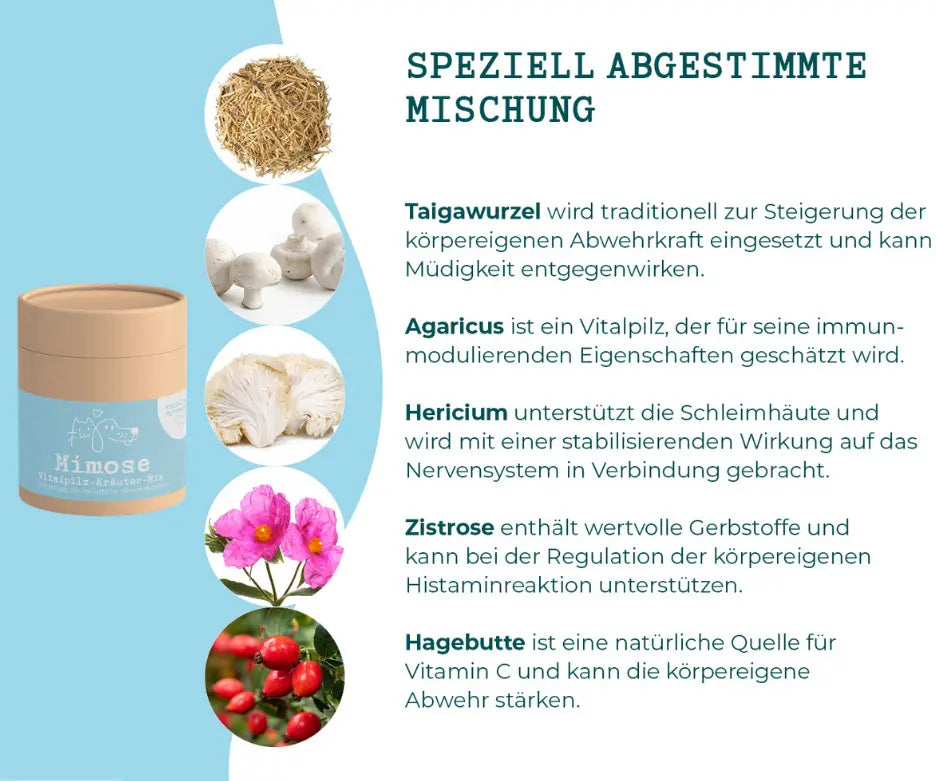 mimose-mycani_Zusammensetzung-erklaerung