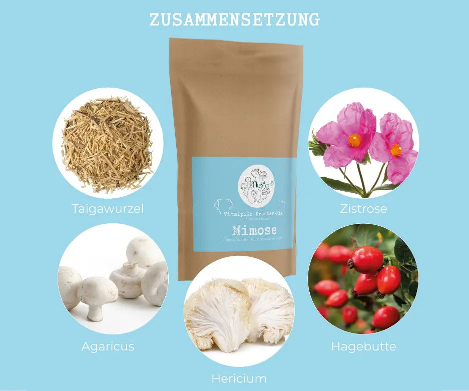 mimose-mycani_Zusammensetzung