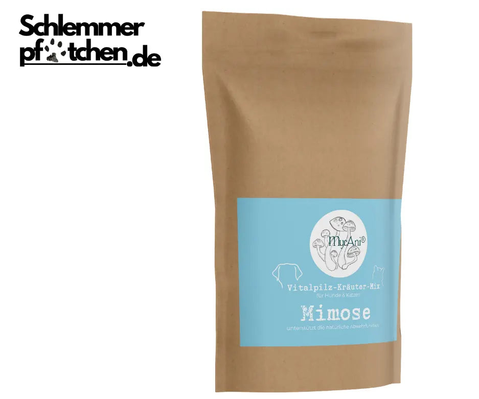 mimose-mycani_grosse-packung