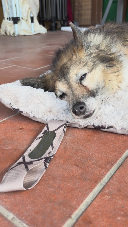 Dogplace-To-Go: Deine Hunddecke für unterwegs
